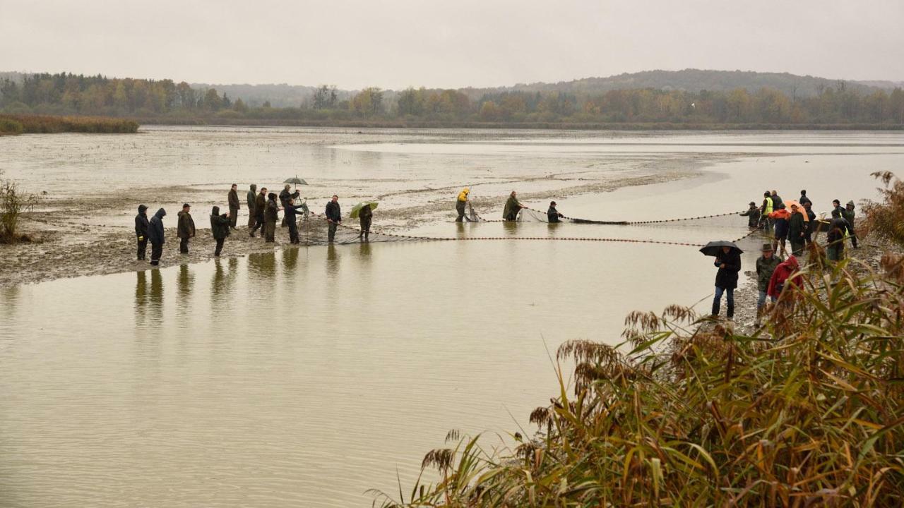 Gite De L'Etang Belval-en-Argonne Ngoại thất bức ảnh